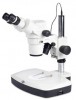 Microscopio Estereoscopico Binocular Motic