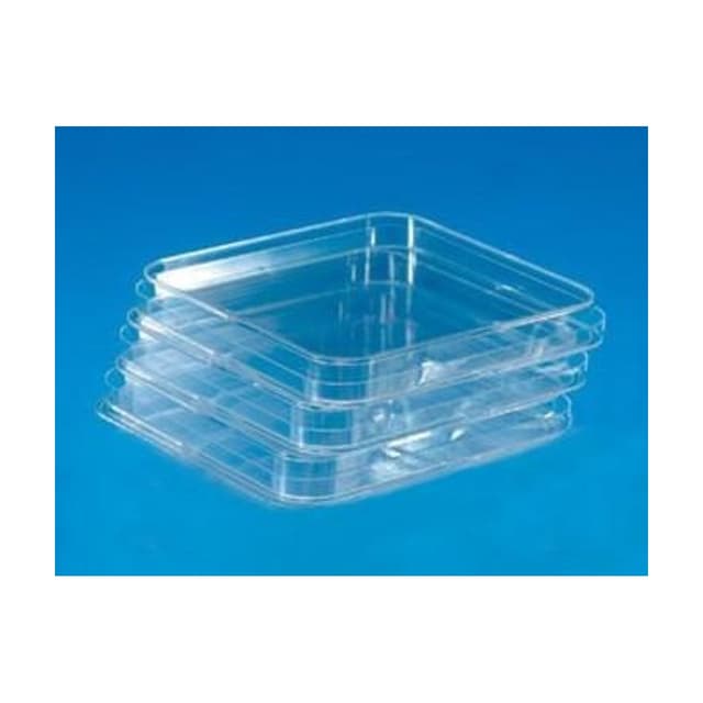 Caja petri cuadrada esteril  12*12cm