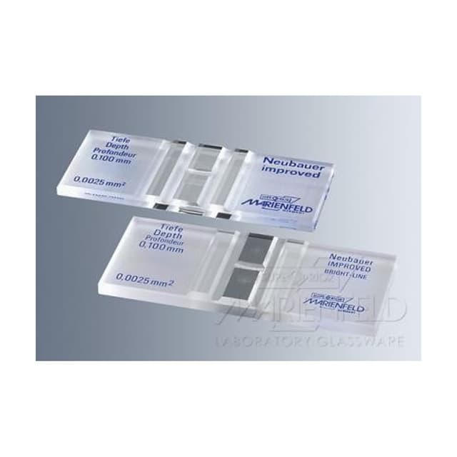 Camara neubauer con linea doble brillante