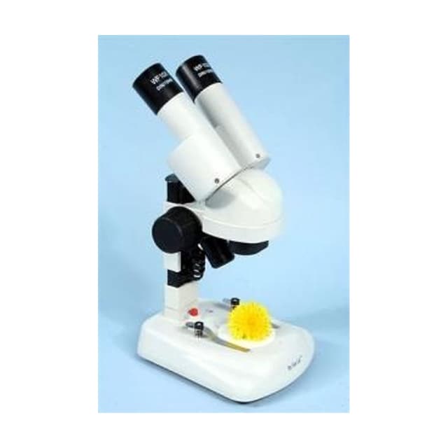 Microscopio estereo educacional