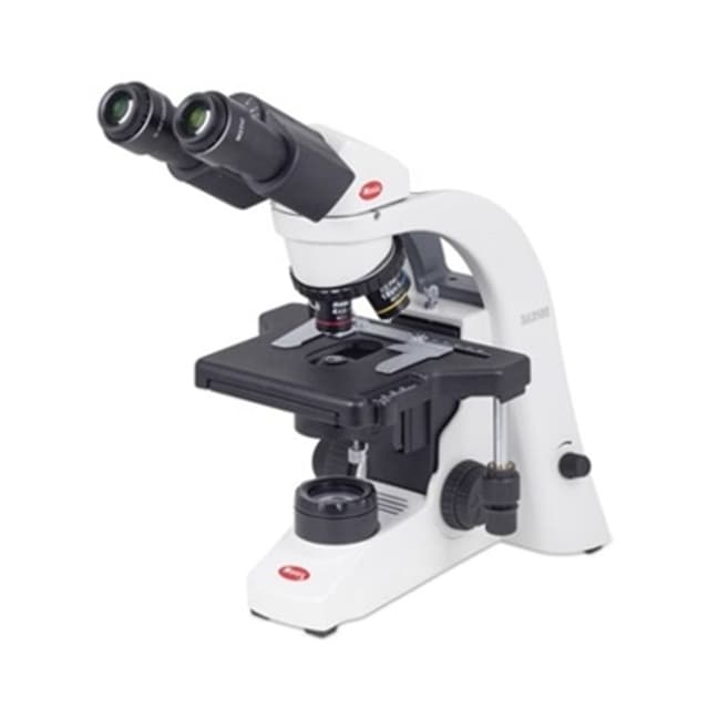 Microscopio biologico binocular
