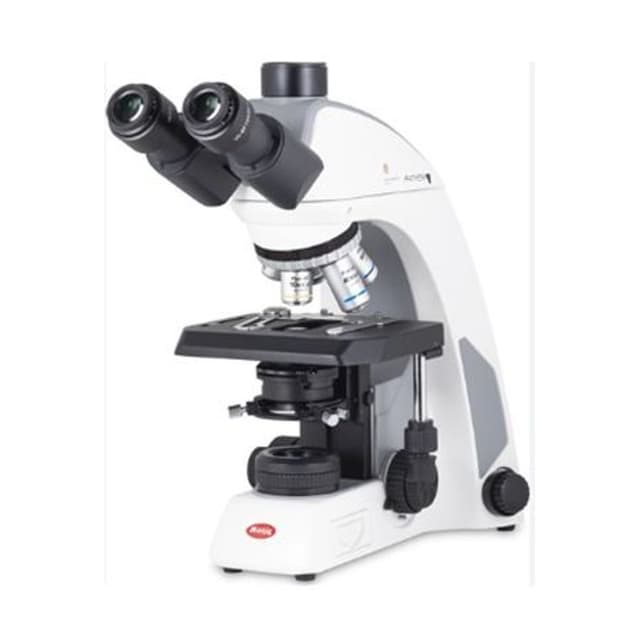 Microscopio panthera C2 triocular