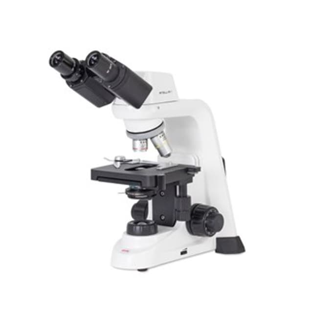 Microscopio binocular biologico