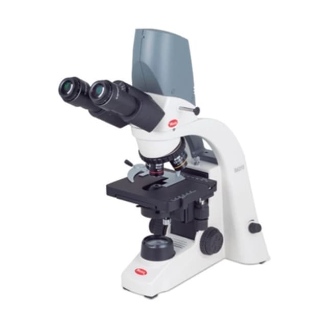 Microscopio binocular digital led