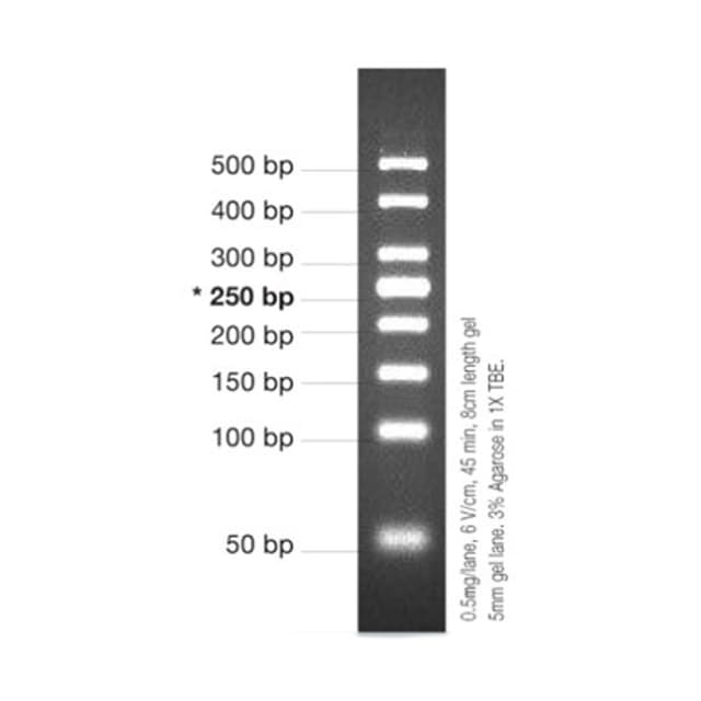 MARCADOR MOLECULAR PCR 50BP 50ug