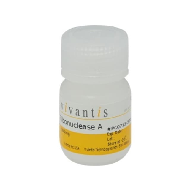 RIBONUCLEASA A (RNASA A) 250mg