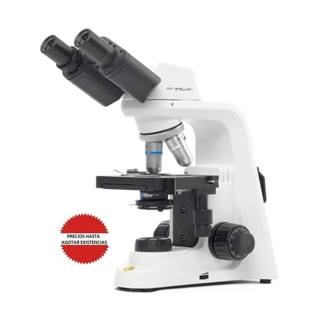 Microscopio binocular biologico