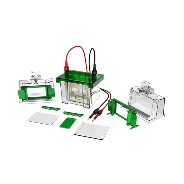 Camara para electroforesis vertical