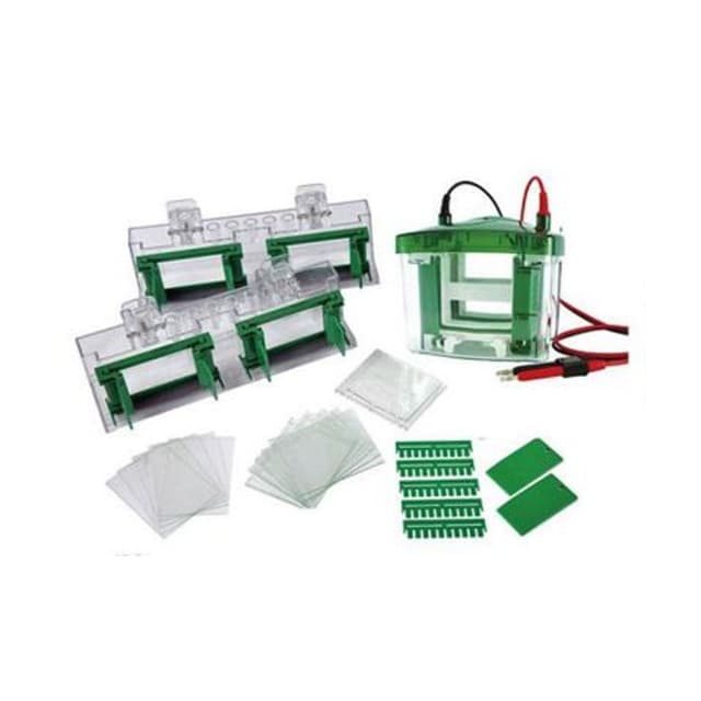 Camara para electroforesis vertical