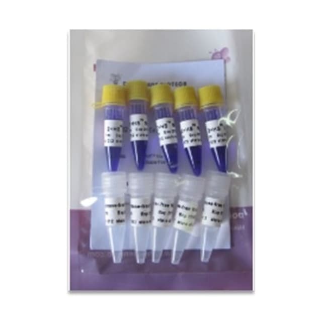 TAQ MIX. KIT C/DNTPS MG, azul bromofenol