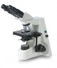 Microscopio binocular infinito Luzeren