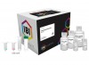 Kit para extraccion de DNA en suelo IBI Scientific